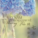 Bảy Năm Vẫn Ngoảnh Về Phương Bắc