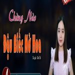 Chừng Nào Đậu Biếc Nở Hoa