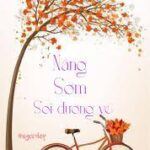 Nắng Sớm Soi Đường Về