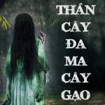 Thần Cây Đa, Ma Cây Gạo, Cú Cáo Cây Đề