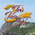 Trà Táo Đỏ 2